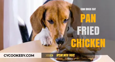 Can Dogs Eat Pan-Fried Chicken?
