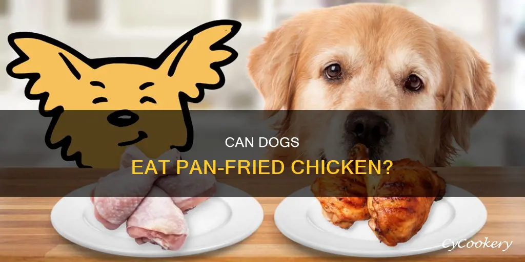 can dogs eat pan fried chicken