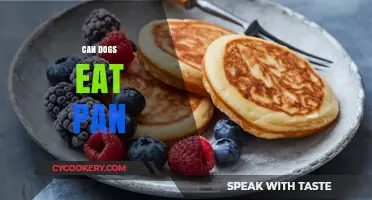 How Safe is it for Dogs to Eat Bread?