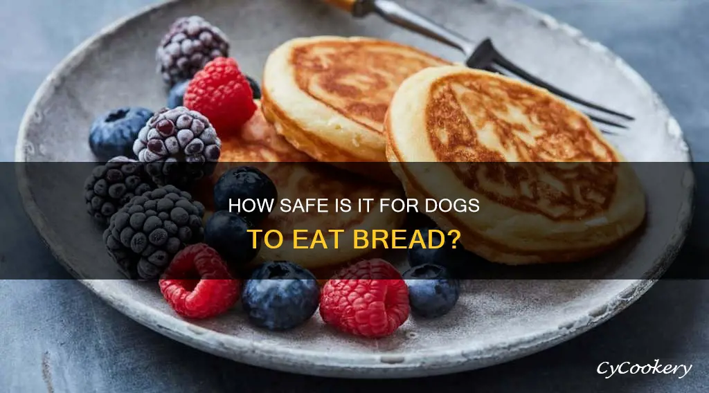 can dogs eat pan