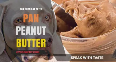 Is Peter Pan Peanut Butter Safe for Dogs?