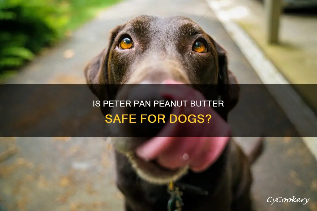 can dogs eat peter pan peanut butter