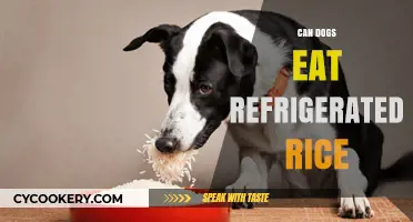 Can Dogs Eat Refrigerated Rice? A Safe Feeding Guide