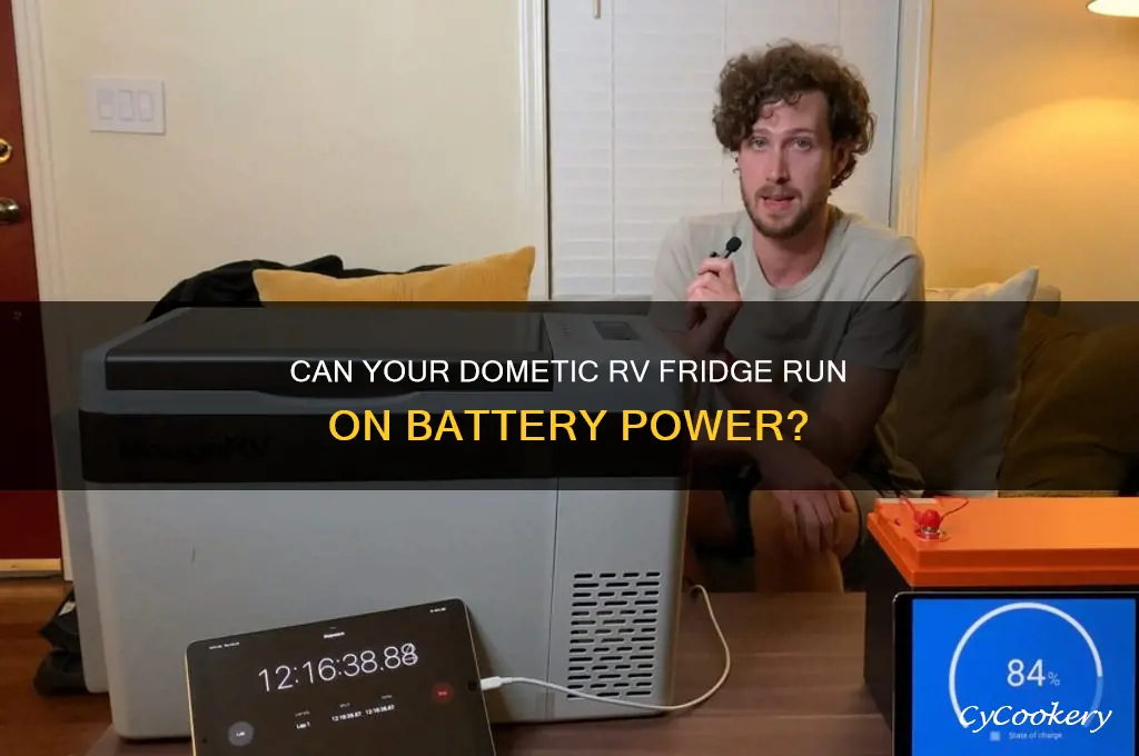 can dometic rv refrigerator run on battery