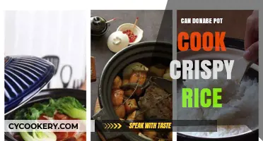 Donabe Pot: Crispy Rice, Yes or No?