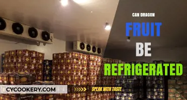 Refrigerating Dragon Fruit: Best Practices for Freshness and Storage