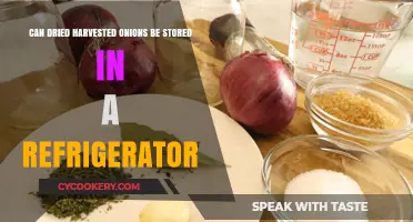 Storing Dried Harvested Onions: Refrigerator Tips for Longevity