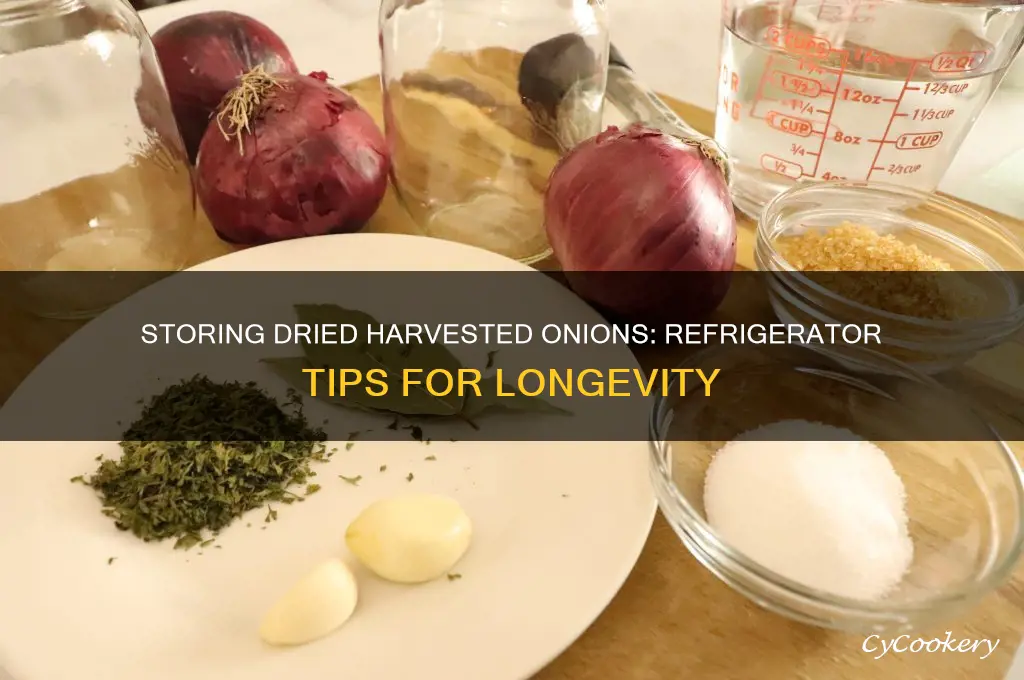 can dried harvested onions be stored in a refrigerator