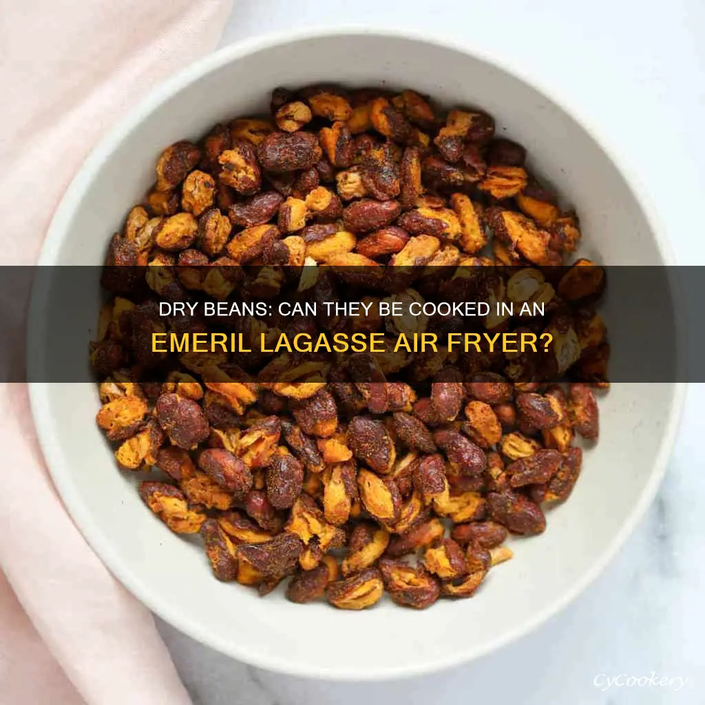 can dry beans be cooked in emeril lagasse air fryer