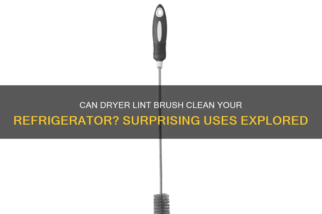 can dryer lint brush be used in refrigerator