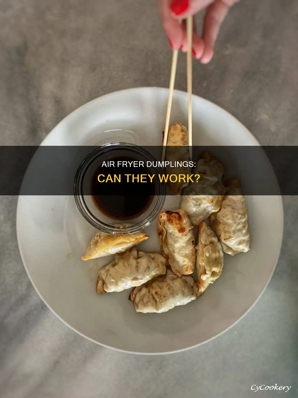 can dumplings go in the air fryer