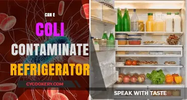 Can E. Coli Contaminate Your Refrigerator? Prevention Tips Revealed