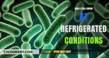 Can E. Coli Survive and Grow in Refrigerated Conditions?