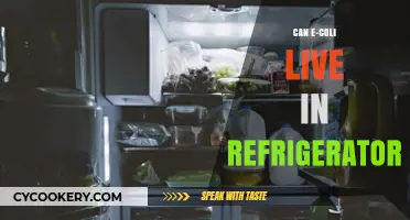 Can E. Coli Survive in Your Refrigerator? Facts and Safety Tips