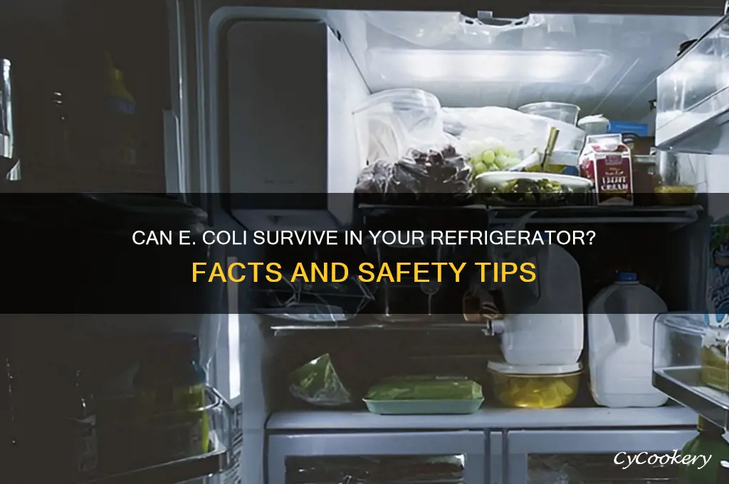 can e-coli live in refrigerator