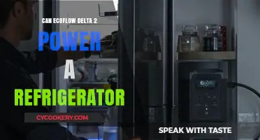 EcoFlow Delta 2: Can It Power Your Refrigerator Efficiently?