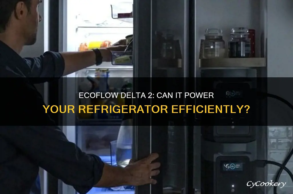 can ecoflow delta 2 power a refrigerator