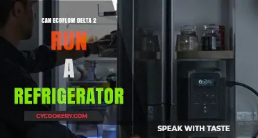 EcoFlow Delta 2: Can It Power Your Refrigerator Efficiently?