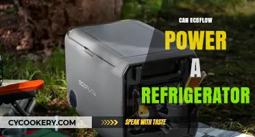 Can EcoFlow Power Your Fridge? A Comprehensive Guide