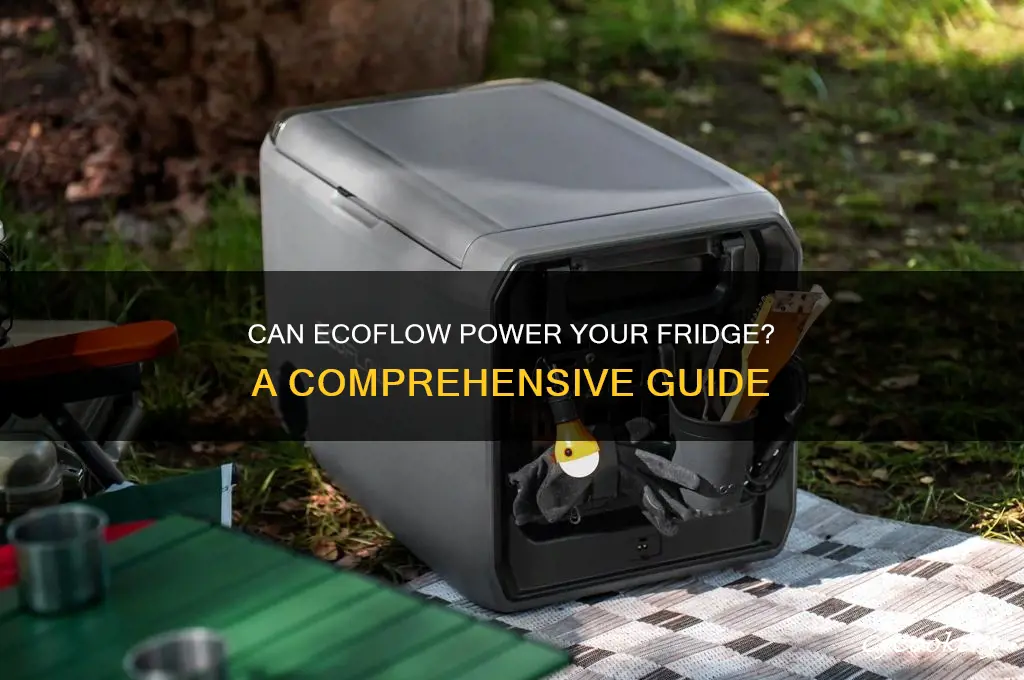 can ecoflow power a refrigerator