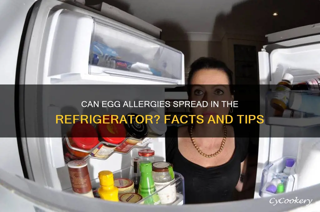 can egg alergies spread in refrigerator