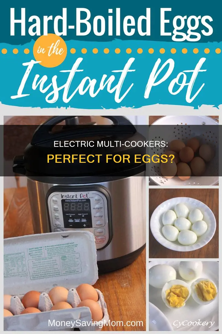 can eggs be cooked in all electric multicook pressure pots