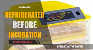 Refrigerating Eggs Before Incubation: Best Practices for Hatching Success