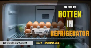 Do Refrigerated Eggs Spoil? Signs of Rotten Eggs Explained