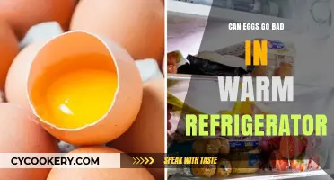Can Eggs Spoil in a Warm Fridge? Facts and Tips