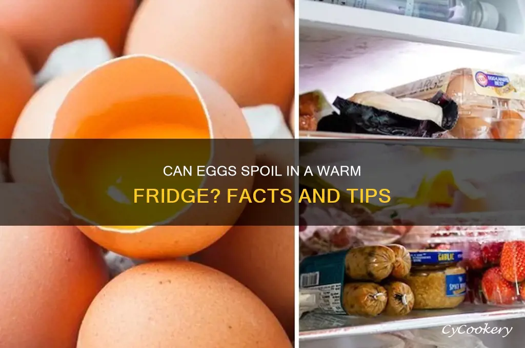 can eggs go bad in warm refrigerator