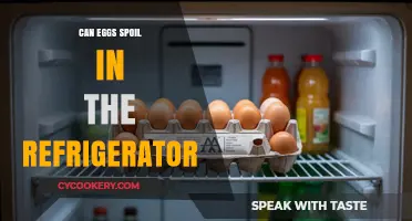 Do Eggs Go Bad in the Fridge? Shelf Life Explained