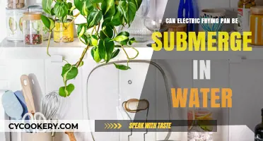 Electric Frying Pan: Safe to Submerge?