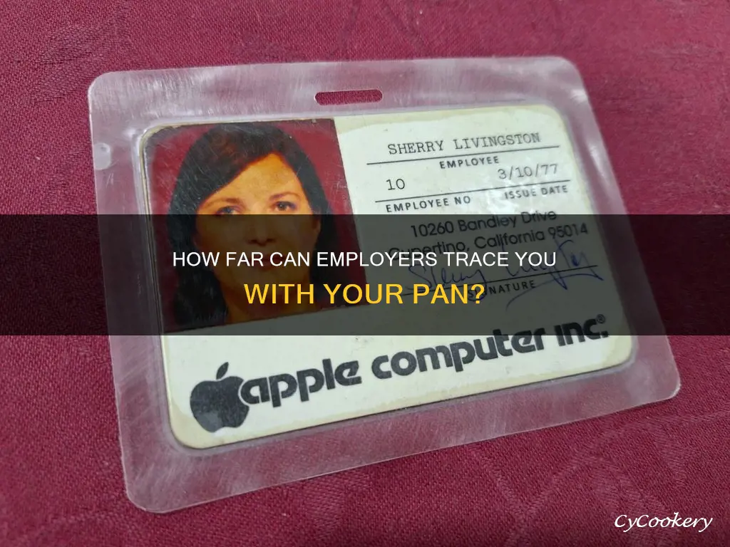 can employer trace through pan