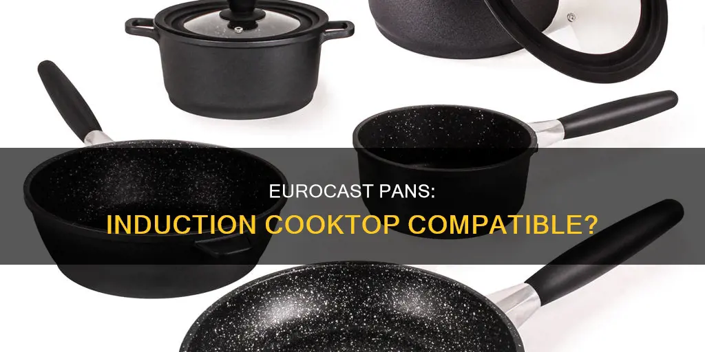 can eurocast pans be used on an induction cooktop