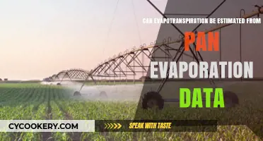 Estimating Evapotranspiration: Pan Evaporation Data's Role
