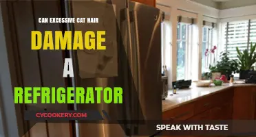 Can Cat Hair Clog Your Fridge? Surprising Damage Risks Explained