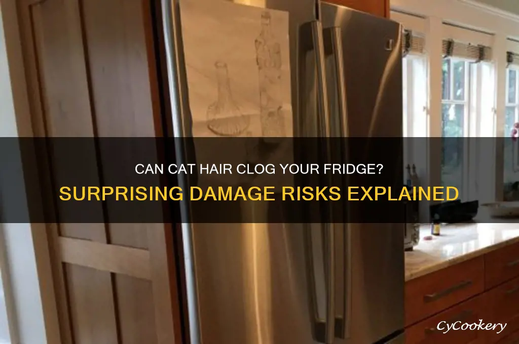 can excessive cat hair damage a refrigerator