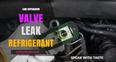 Can Expansion Valves Leak Refrigerant? Causes and Solutions Explained