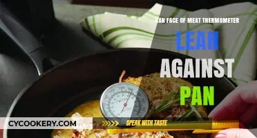 Meat Thermometer: Lean Against Pan?