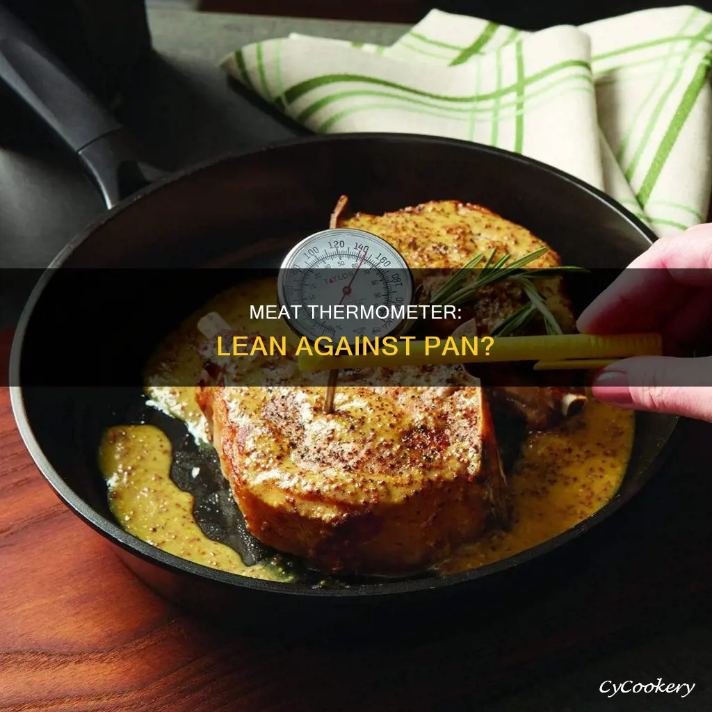 can face of meat thermometer lean against pan