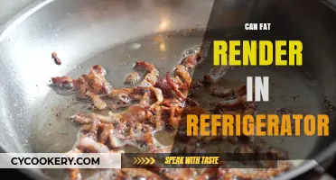 Can Fat Render in the Fridge? A Chilling Kitchen Experiment
