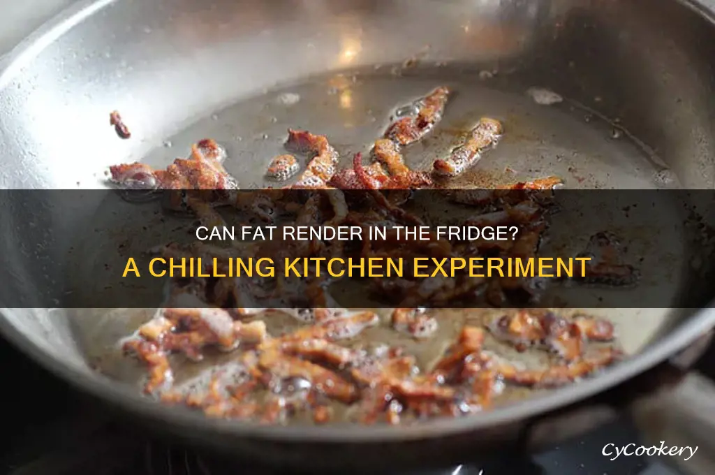 can fat render in refrigerator