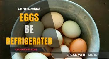 Refrigerating Fertile Chicken Eggs: Best Practices for Hatching Success