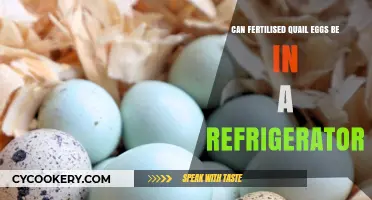 Storing Fertilized Quail Eggs: Refrigerator Safety and Best Practices