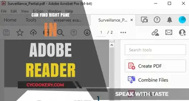 How to Find the Right Pane in Adobe Reader