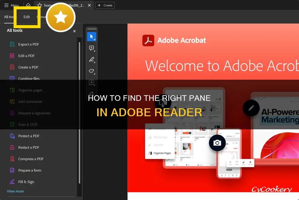 can find right pane in adobe reader