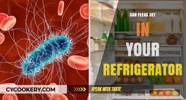 Can Fleas Invade Your Refrigerator? Uncovering the Truth Behind the Myth