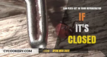 Can Flies Enter a Closed Refrigerator? The Surprising Truth