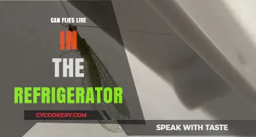 Can Flies Survive in Your Refrigerator? The Chilling Truth Revealed