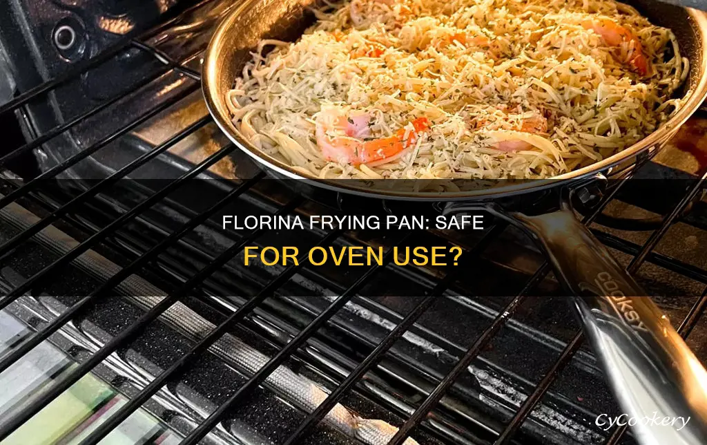 can florina frying pan be put in oven